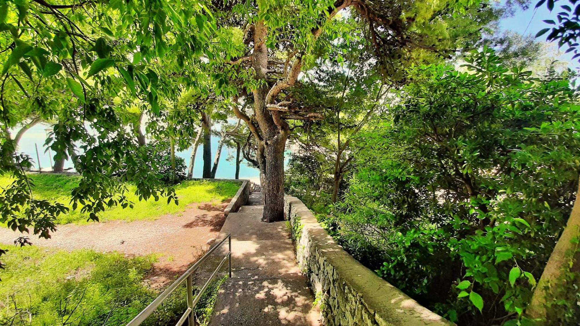 Apartment Tica Omiš Dış mekan fotoğraf